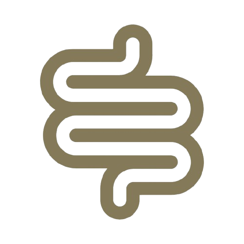 Intestine Icon